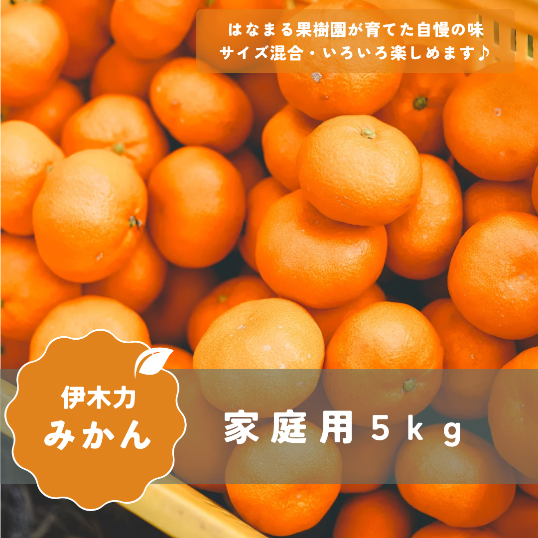 家庭用みかん 【5kg】 | はなまる果樹園